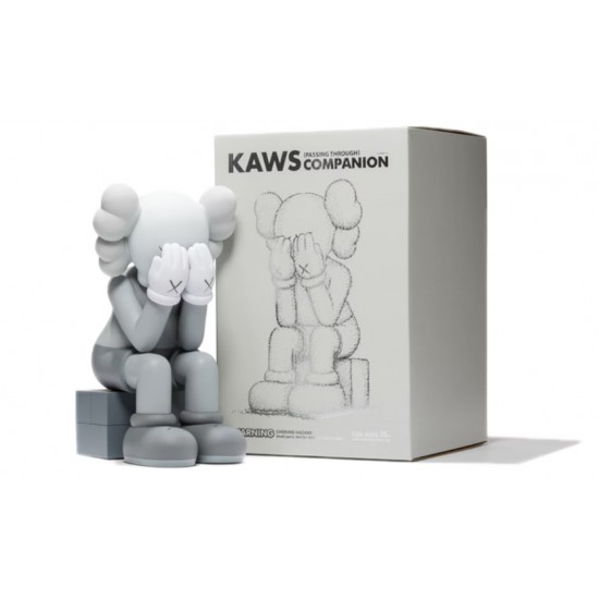 KAWS Passing Through Companion Vinyl Figure (2013) 3 Colors